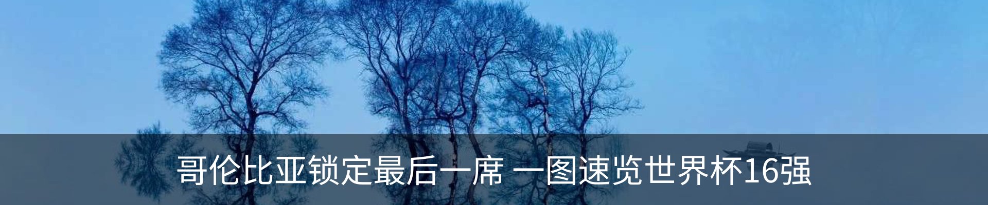 内页banner
